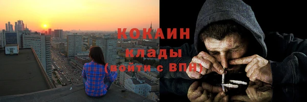 гашик Аркадак
