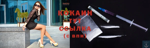 гашик Аркадак