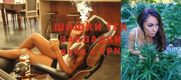 гашик Аркадак
