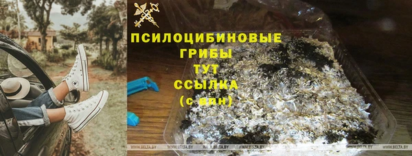 хмурый Армянск