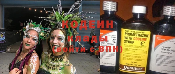 гашик Аркадак
