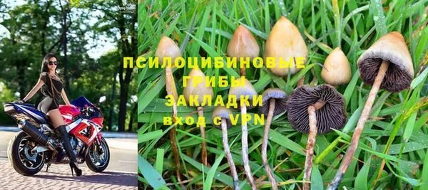 хмурый Армянск