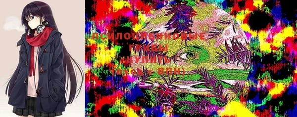 PSILOCYBIN Алзамай