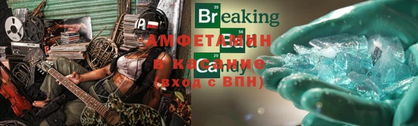 гашик Аркадак