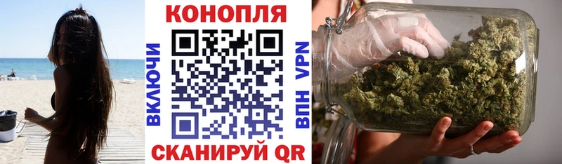 Канабис планчик  что такое   блэк спрут как зайти  Обоянь 